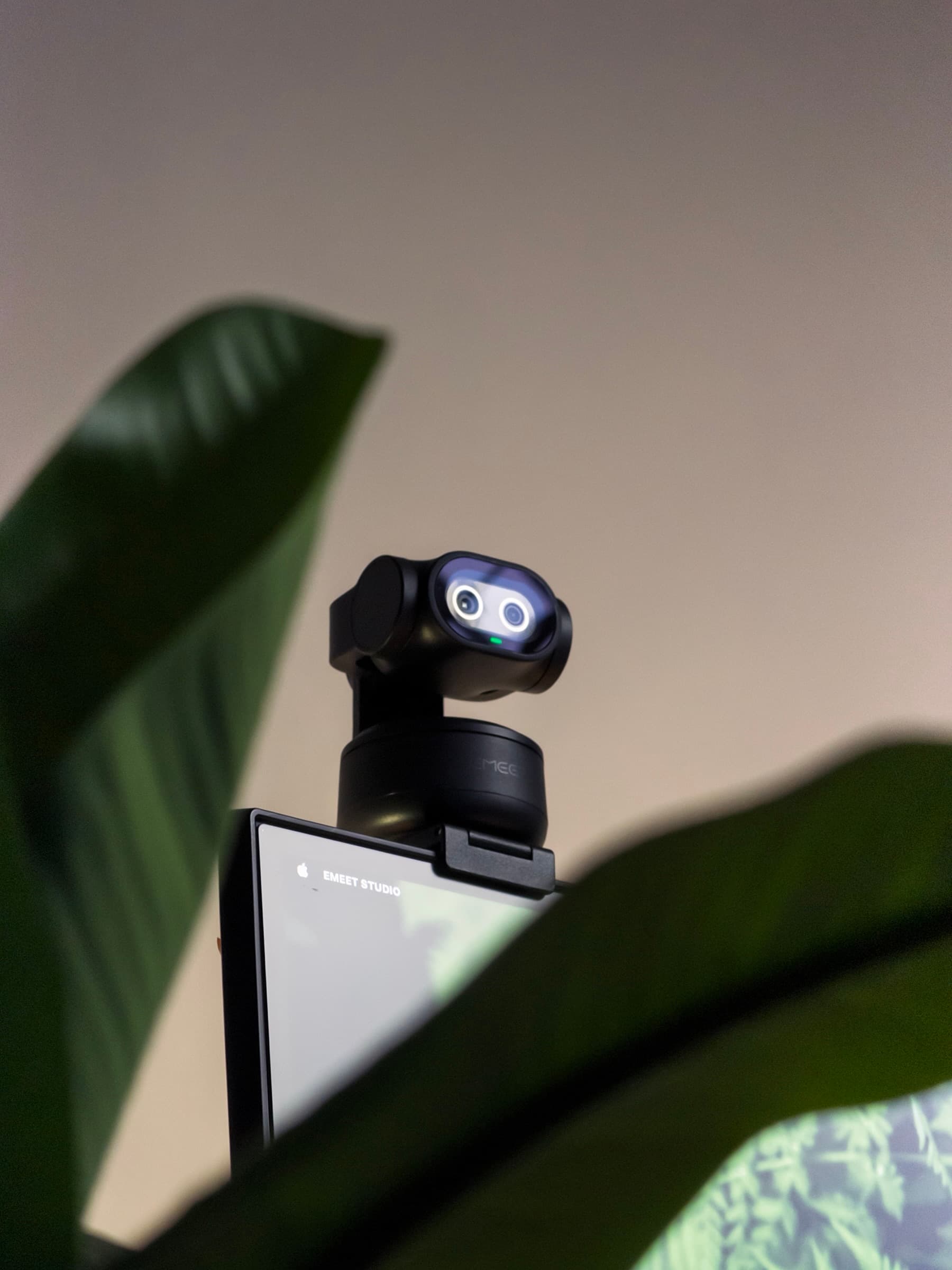 EMEET PIXY webcam framed by plant leaves